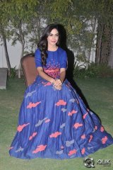 Ritu Varma at Yevade Subramanyam Movie Audio Launch